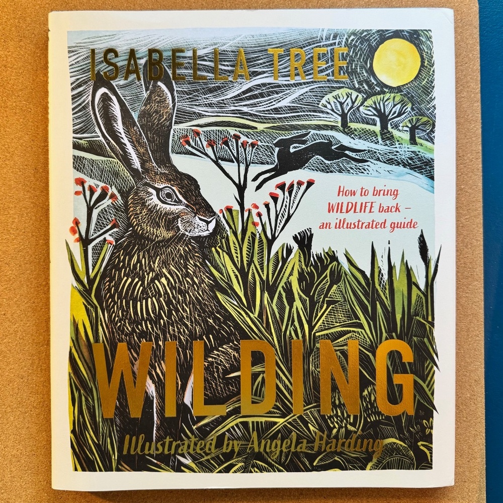 Wilding: How to Bring Wildlife Back An Illustrated Guide Hardcover Book